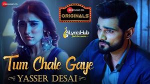 Tum Chale Gaye Lyrics - Yasser Desai