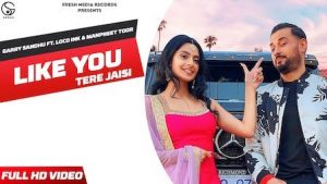 Like U (Tere Jaisi) Lyrics Garry Sandhu