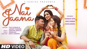 Nai Jaana Lyrics Tulsi Kumar x Sachet Tandon