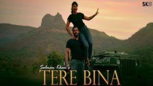 Tere Bina Lyrics by Salman Khan | तेरे बिना