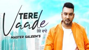 Tere Vaade Lyrics Master Saleem