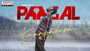 Kanapadava Lyrics Paagal | Anand Aravindakshan