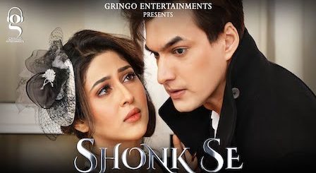 Shonk Se Lyrics Afsana Khan | Mohsin Khan