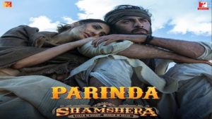 Parinda Lyrics Shamshera | Sukhwinder Singh