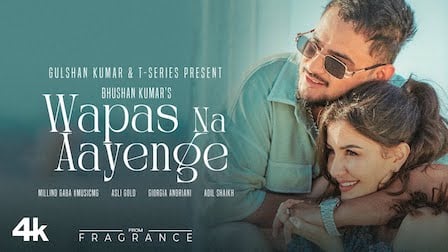 Wapas Na Aayenge Lyrics Millind Gaba