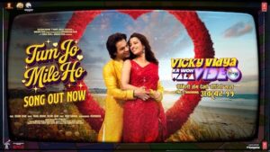 Tum Jo Mile Ho Lyrics - Vishal Mishra